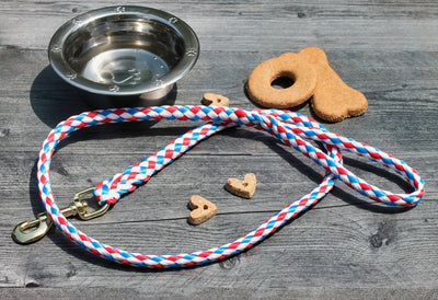 Pet Supplies